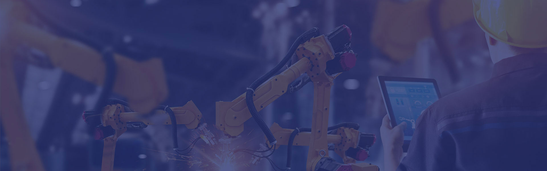 Gantry Robot